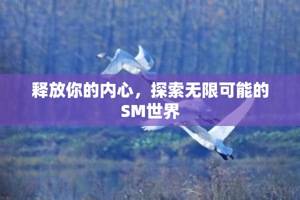 释放你的内心，探索无限可能的SM世界