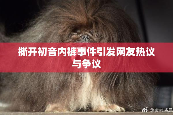 撕开初音内裤事件引发网友热议与争议