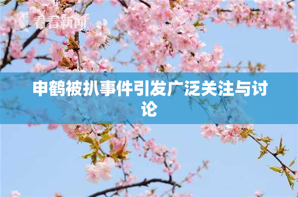 申鹤被扒事件引发广泛关注与讨论