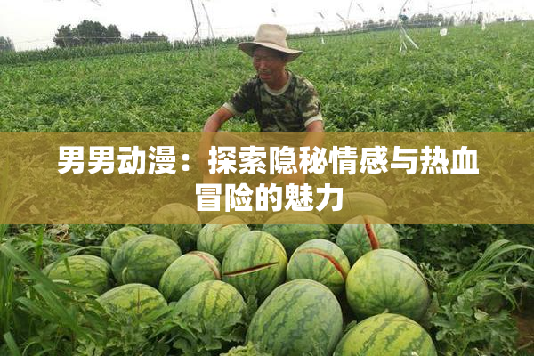 男男动漫：探索隐秘情感与热血冒险的魅力