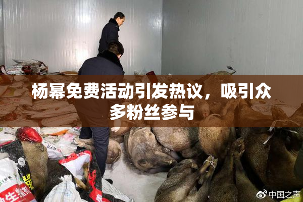 杨幂免费活动引发热议，吸引众多粉丝参与