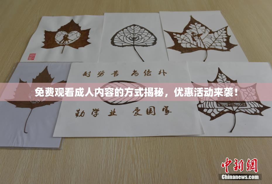 免费观看成人内容的方式揭秘，优惠活动来袭！