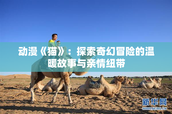 动漫《猫》：探索奇幻冒险的温暖故事与亲情纽带