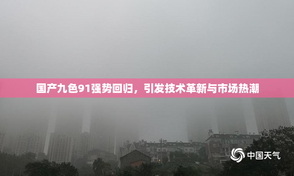 国产九色91强势回归，引发技术革新与市场热潮