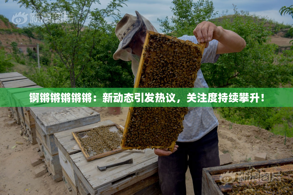 锕锵锵锵锵锵：新动态引发热议，关注度持续攀升！