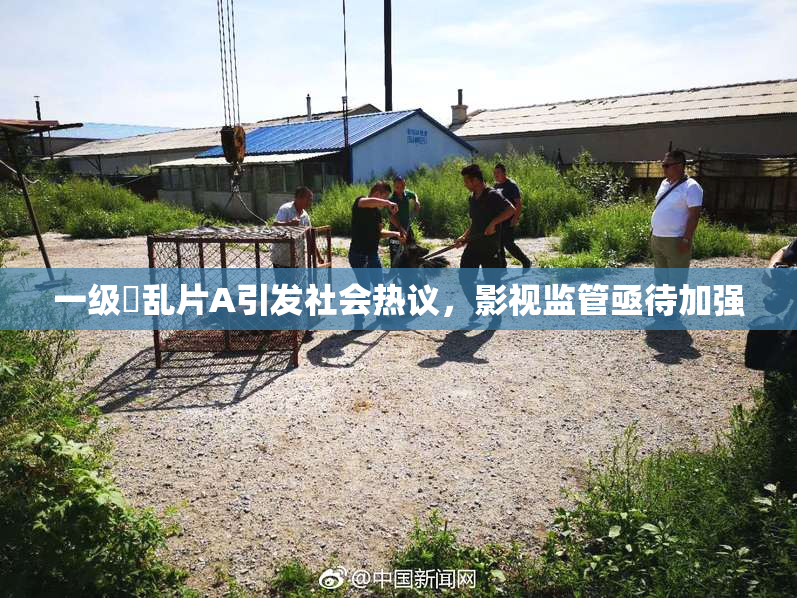 一级婬乱片A引发社会热议，影视监管亟待加强