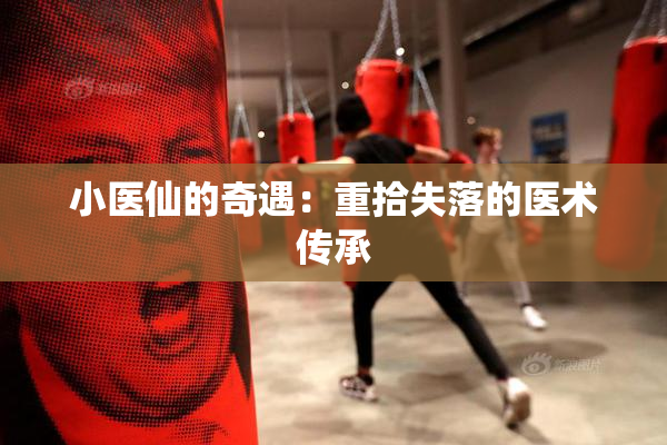 小医仙的奇遇：重拾失落的医术传承