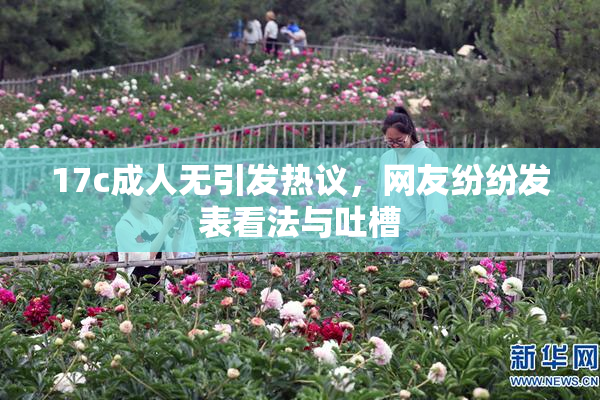 17c成人无引发热议，网友纷纷发表看法与吐槽