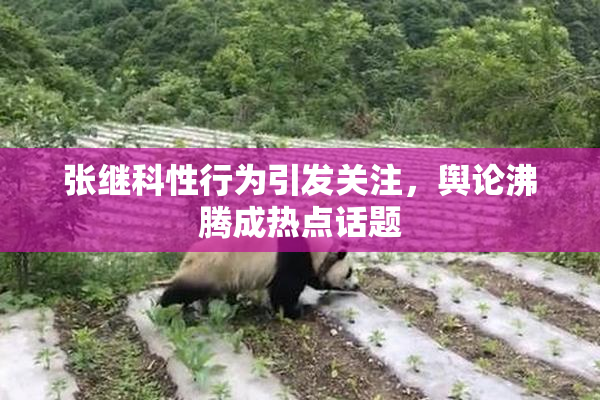 张继科性行为引发关注，舆论沸腾成热点话题