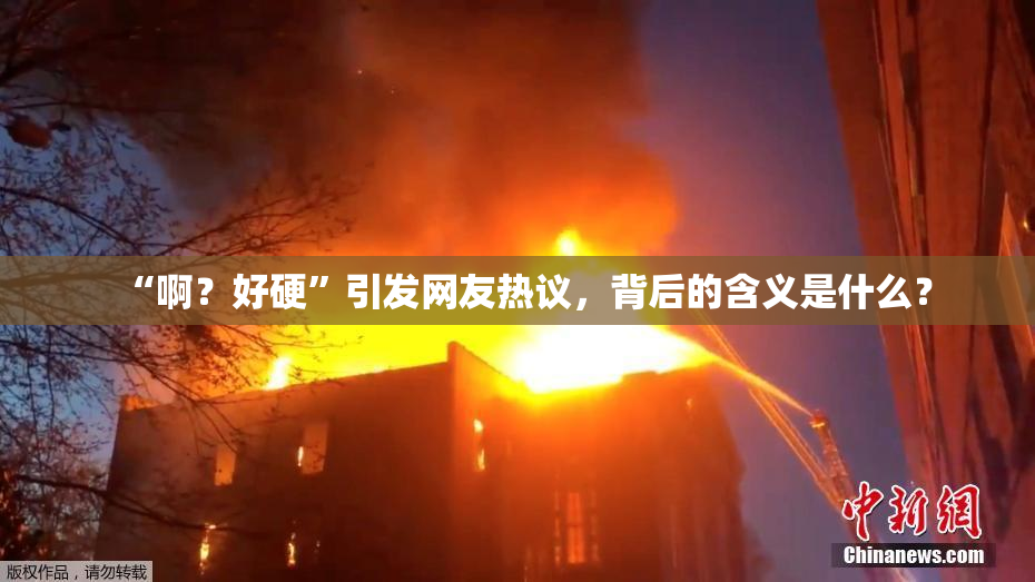 “啊？好硬”引发网友热议，背后的含义是什么？