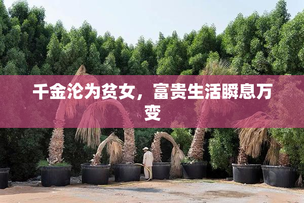 千金沦为贫女，富贵生活瞬息万变