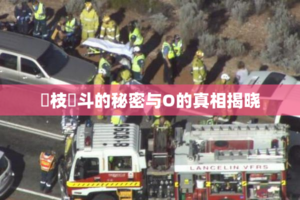 狛枝凪斗的秘密与O的真相揭晓