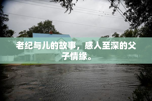 老纪与儿的故事，感人至深的父子情缘。