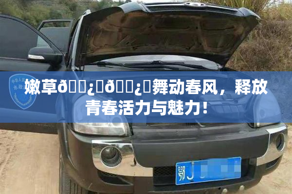 嫩草🌿‌🌿‌舞动春风，释放青春活力与魅力！