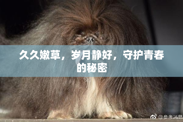 久久嫩草，岁月静好，守护青春的秘密