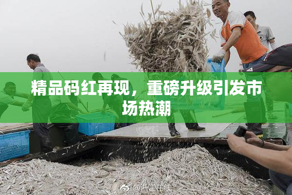 精品码红再现，重磅升级引发市场热潮