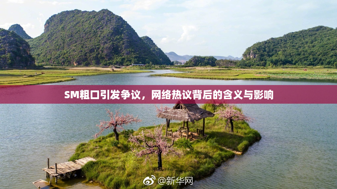 SM粗口引发争议，网络热议背后的含义与影响