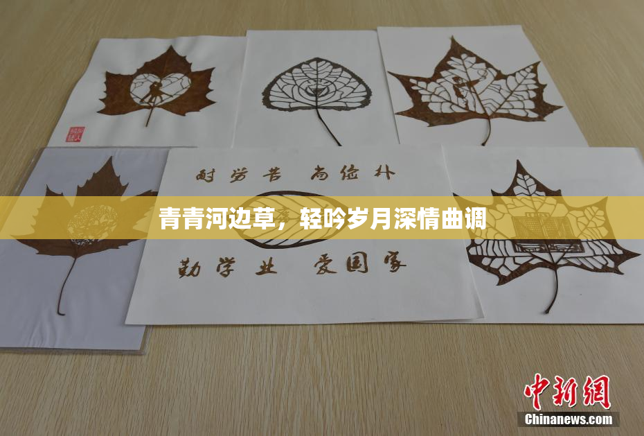 青青河边草，轻吟岁月深情曲调