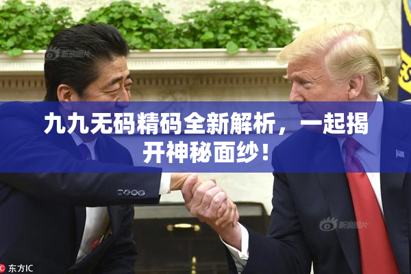 九九无码精码全新解析，一起揭开神秘面纱！