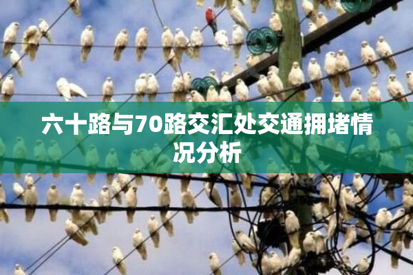 六十路与70路交汇处交通拥堵情况分析