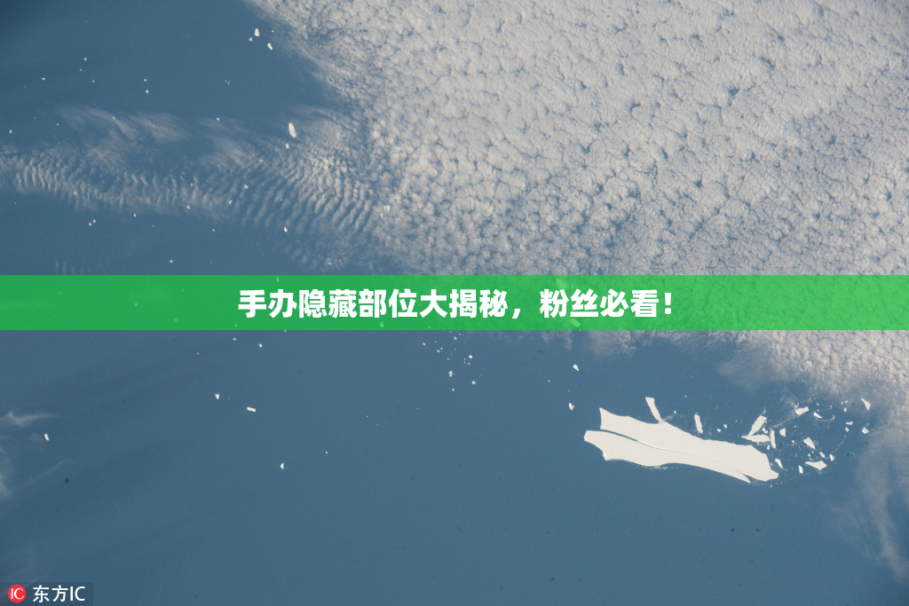 手办隐藏部位大揭秘，粉丝必看！