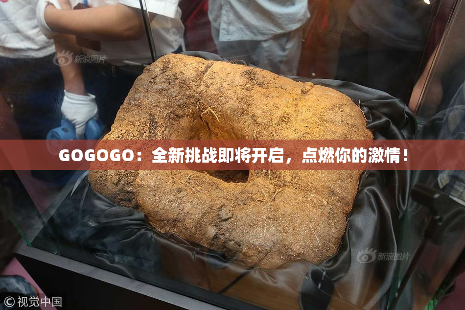 GOGOGO：全新挑战即将开启，点燃你的激情！