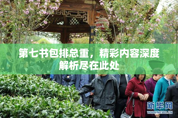 第七书包排总重，精彩内容深度解析尽在此处