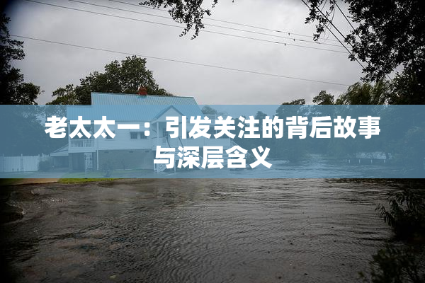 老太太一：引发关注的背后故事与深层含义