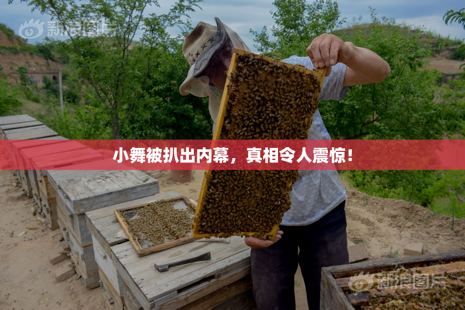 小舞被扒出内幕，真相令人震惊！