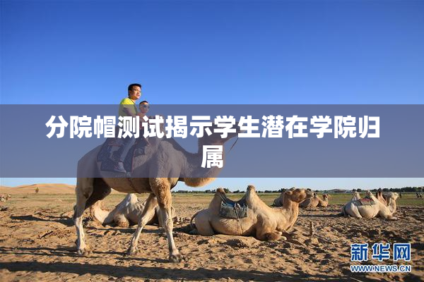 分院帽测试揭示学生潜在学院归属