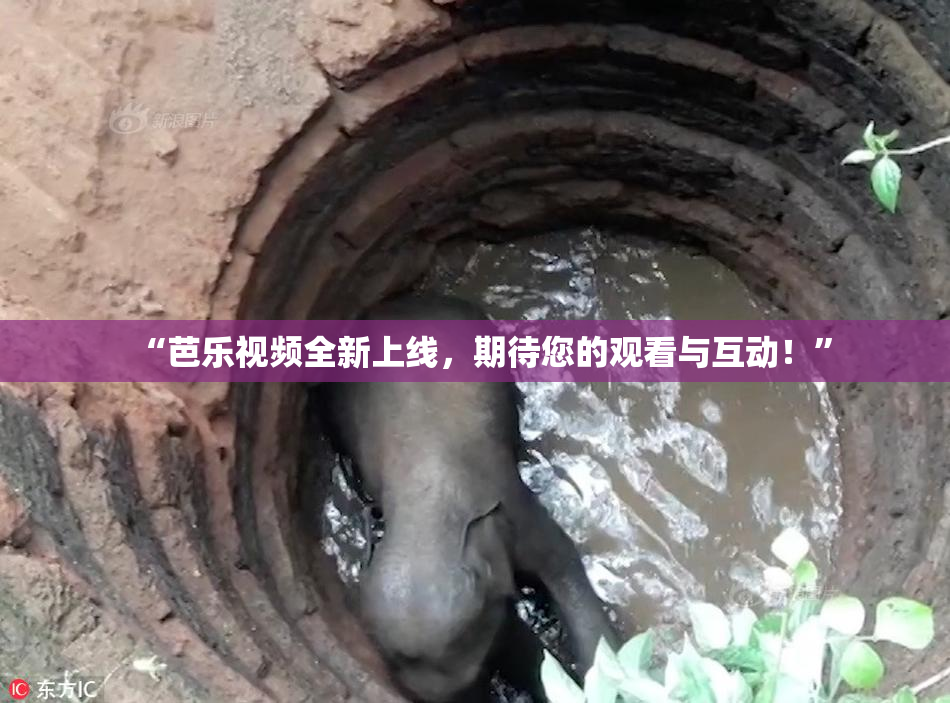 “芭乐视频全新上线，期待您的观看与互动！”