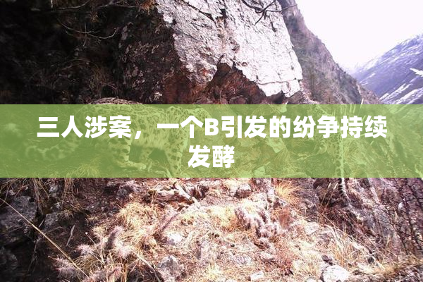 三人涉案，一个B引发的纷争持续发酵