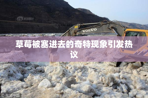 草莓被塞进去的奇特现象引发热议
