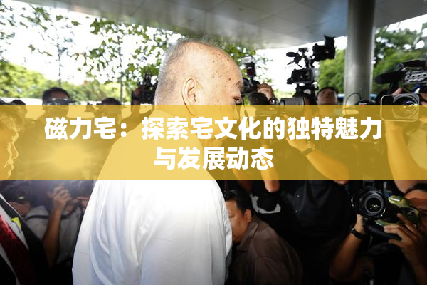 磁力宅：探索宅文化的独特魅力与发展动态