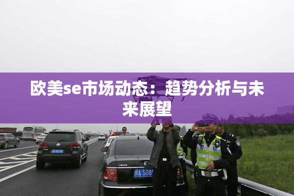欧美se市场动态：趋势分析与未来展望