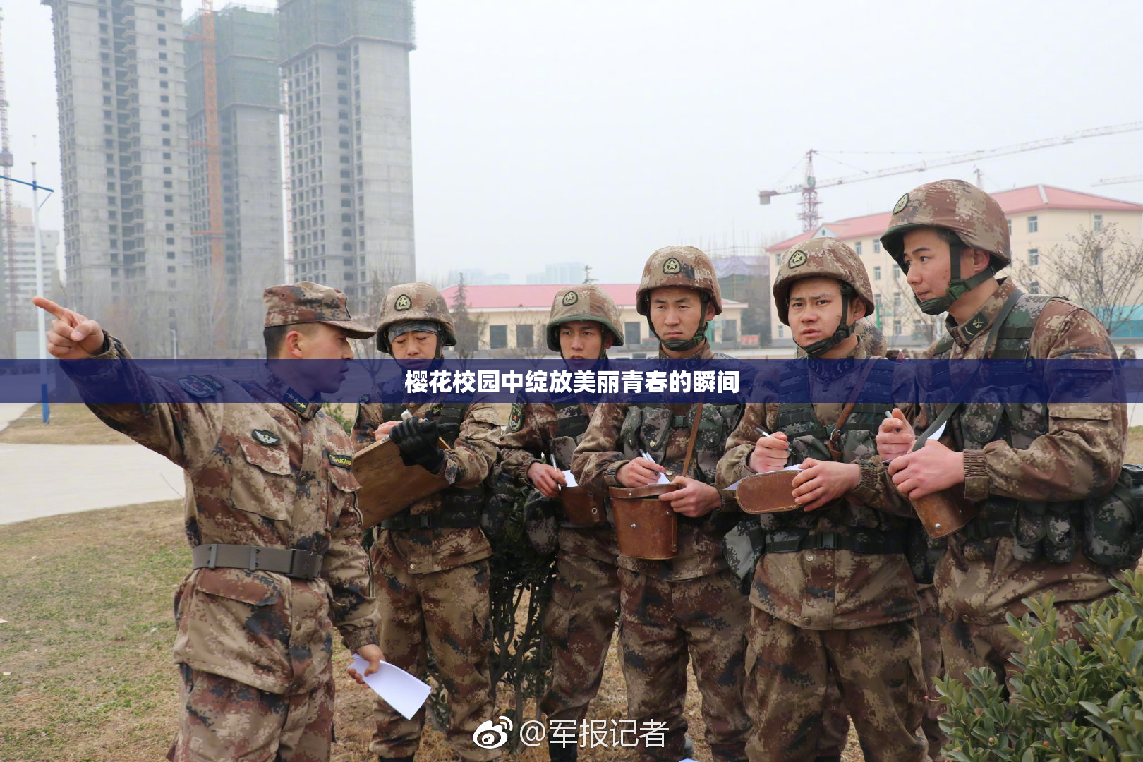 樱花校园中绽放美丽青春的瞬间
