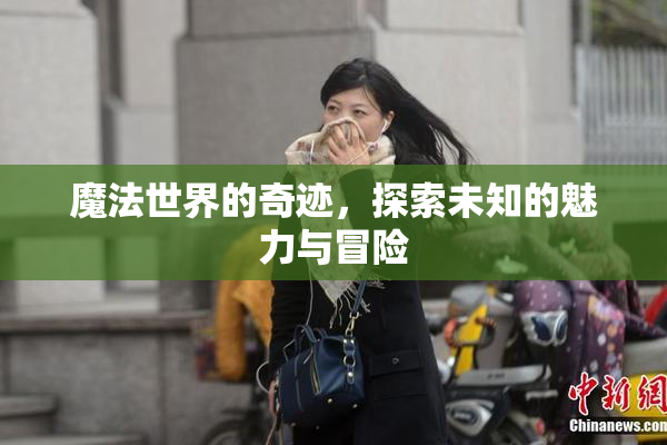 魔法世界的奇迹，探索未知的魅力与冒险