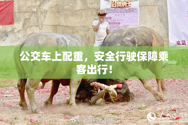 公交车上配重，安全行驶保障乘客出行！