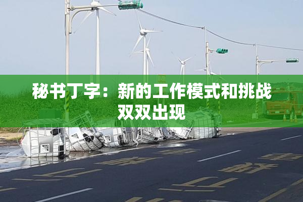 秘书丁字：新的工作模式和挑战双双出现