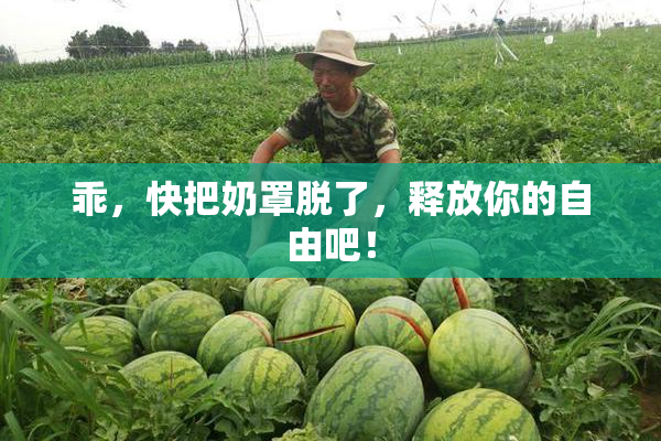 乖，快把奶罩脱了，释放你的自由吧！