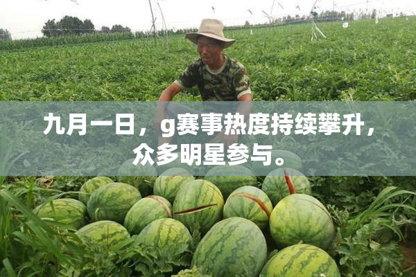 九月一日，g赛事热度持续攀升，众多明星参与。
