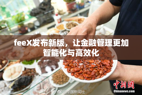 feeX发布新版，让金融管理更加智能化与高效化