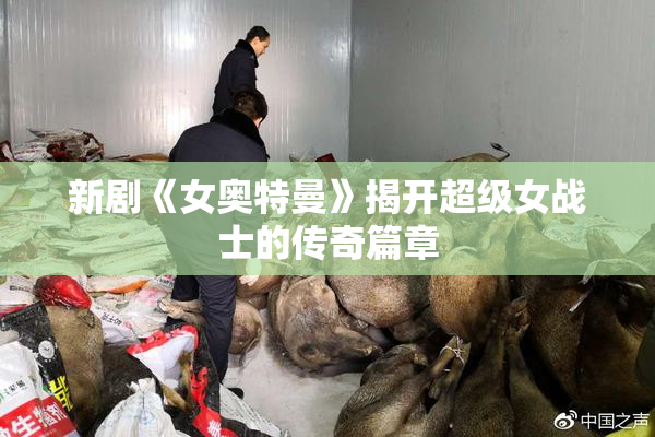 新剧《女奥特曼》揭开超级女战士的传奇篇章
