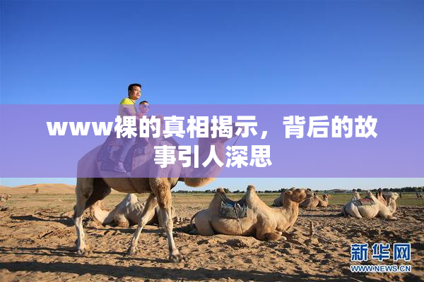 www裸的真相揭示，背后的故事引人深思