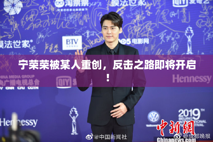 宁荣荣被某人重创，反击之路即将开启！