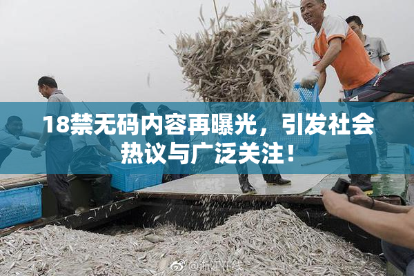 18禁无码内容再曝光，引发社会热议与广泛关注！