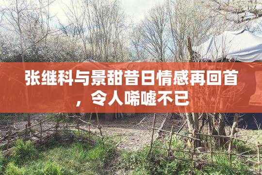 张继科与景甜昔日情感再回首，令人唏嘘不已