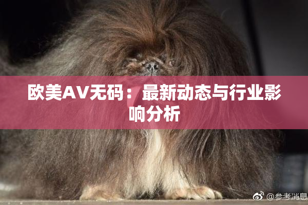 欧美AV无码：最新动态与行业影响分析