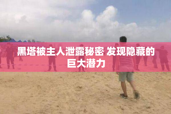 黑塔被主人泄露秘密 发现隐藏的巨大潜力