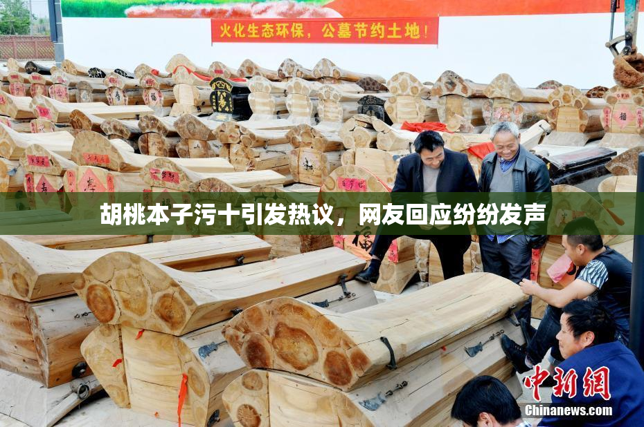胡桃本子污十引发热议，网友回应纷纷发声